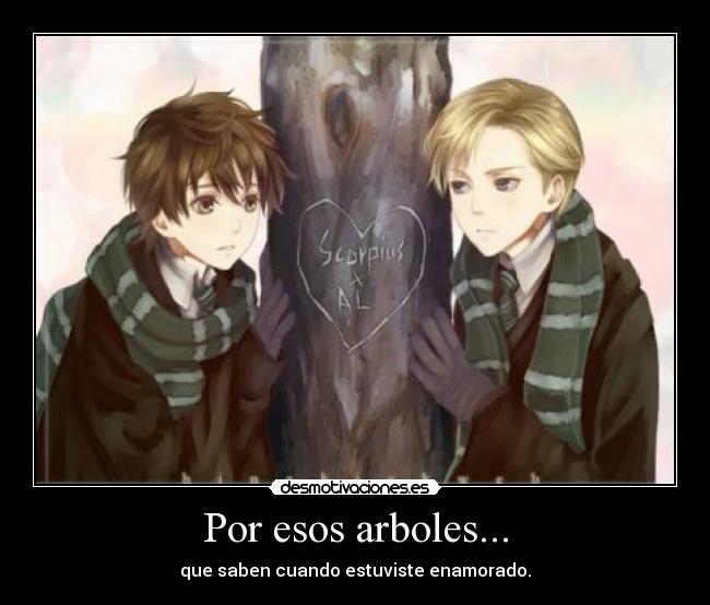 Por esos arboles... - que saben cuando estuviste enamorado.