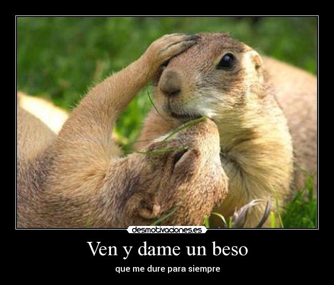 carteles besooooooooooooo desmotivaciones