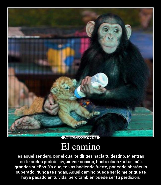 El camino - es aquél sendero, por el cual te diriges hacia tu destino. Mientras
no te rindas podrás seguir ese camino, hasta alcanzar tus más
grandes sueños. Ya que, te vas haciendo fuerte, por cada obstáculo
superado. Nunca te rindas. Aquél camino puede ser lo mejor que te
haya pasado en tu vida, pero también puede ser tu perdición.
