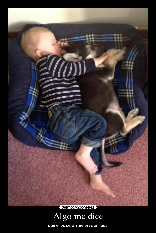 carteles cachorro bebe mejoresamigos mejores amigos desmotivaciones