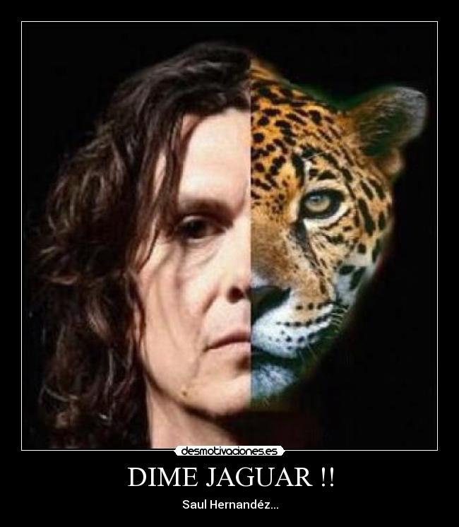 DIME JAGUAR !! - Saul Hernandéz...