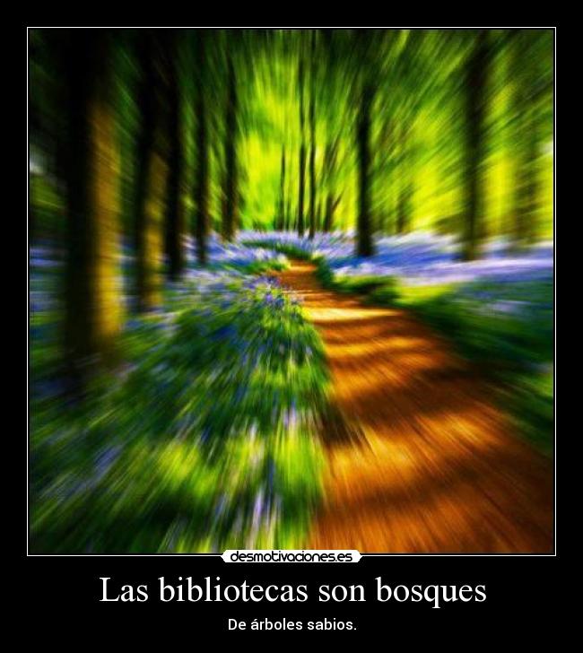 Las bibliotecas son bosques - 