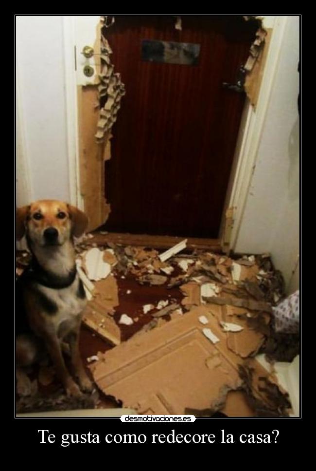 Te gusta como redecore la casa? -