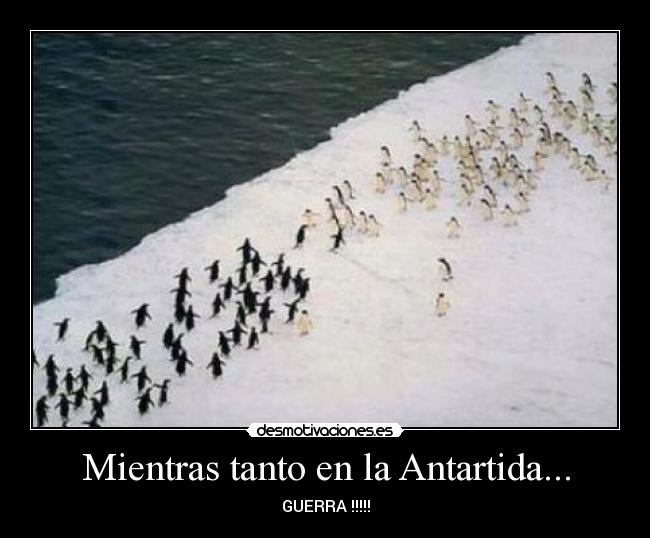 Mientras tanto en la Antartida... - 