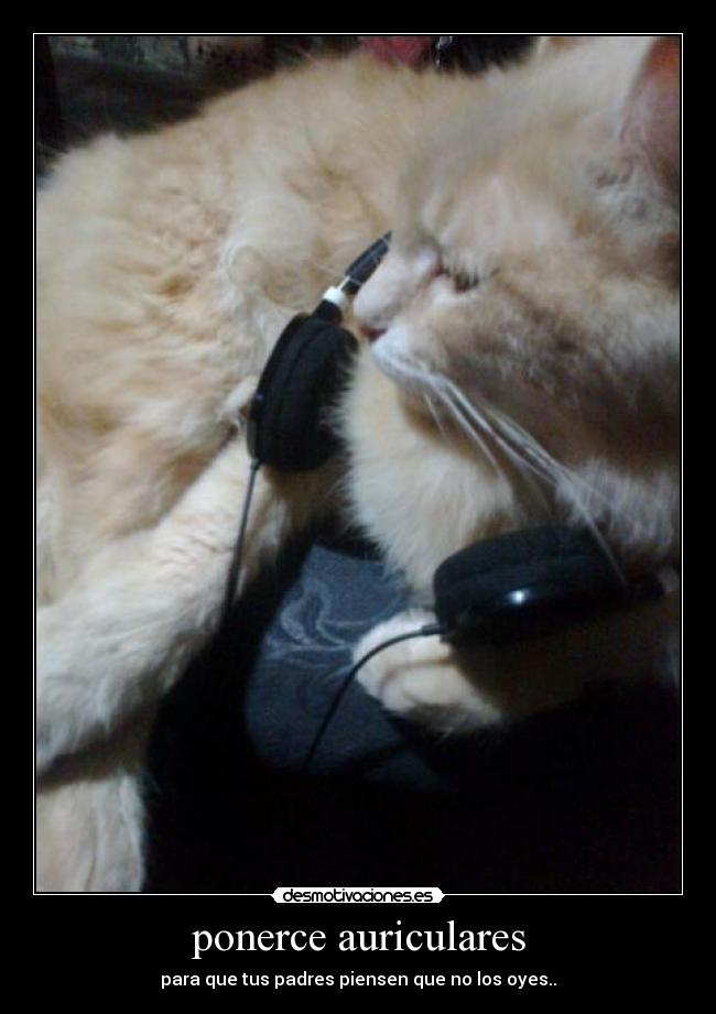ponerce auriculares - para que tus padres piensen que no los oyes..