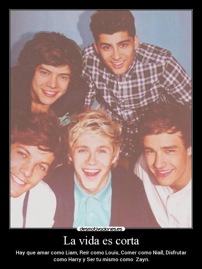 carteles vida rocio rodriguez desmotivaciones