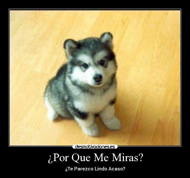 carteles siiiiii desmotivaciones