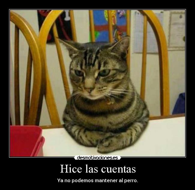 Hice las cuentas - Ya no podemos mantener al perro.