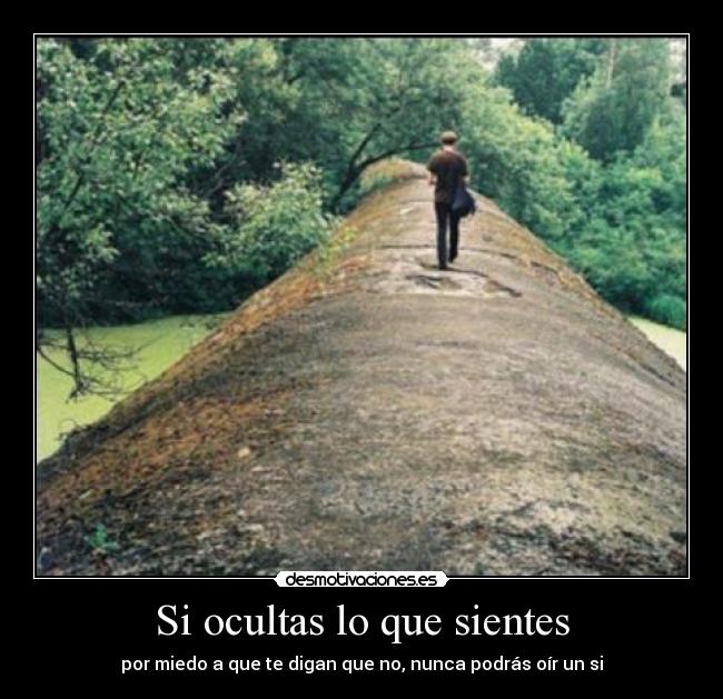 Si ocultas lo que sientes - por miedo a que te digan que no, nunca podrás oír un si