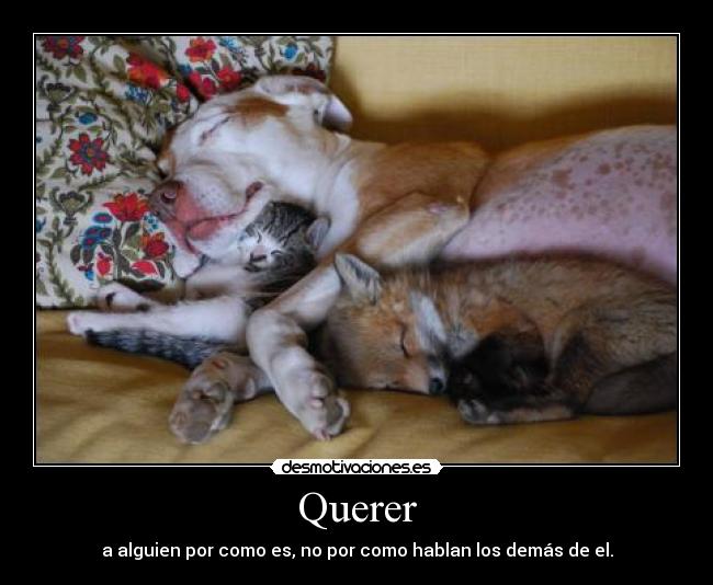 Querer - a alguien por como es, no por como hablan los demás de el.