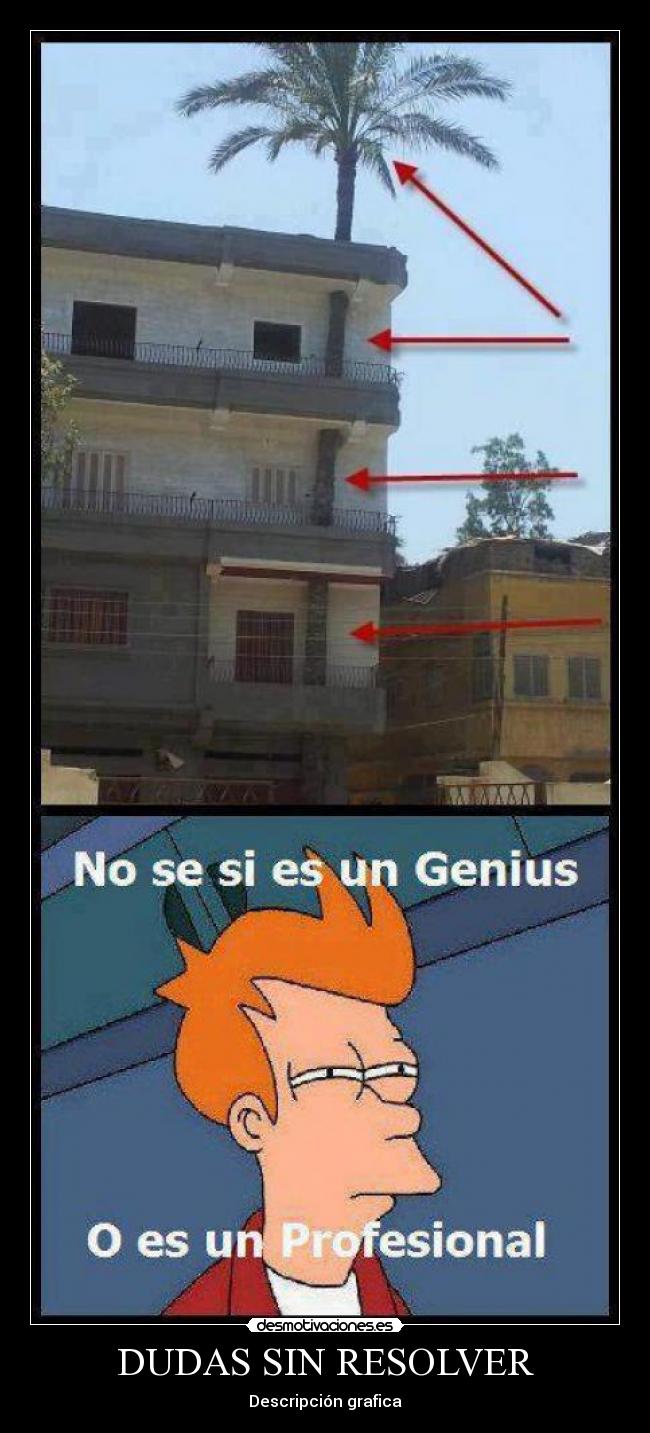 DUDAS SIN RESOLVER - Descripción grafica