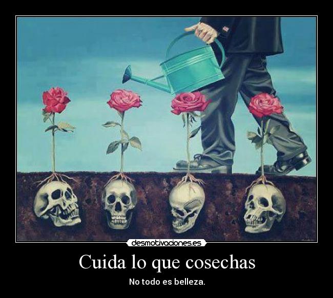 Cuida lo que cosechas - No todo es belleza.