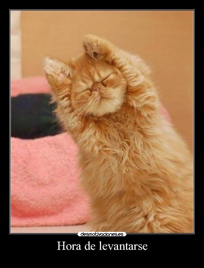 Hora de levantarse -