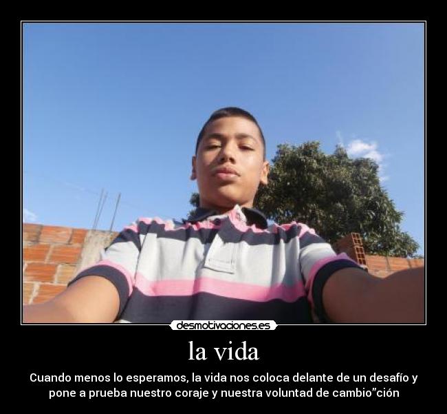 carteles vida vida desmotivaciones