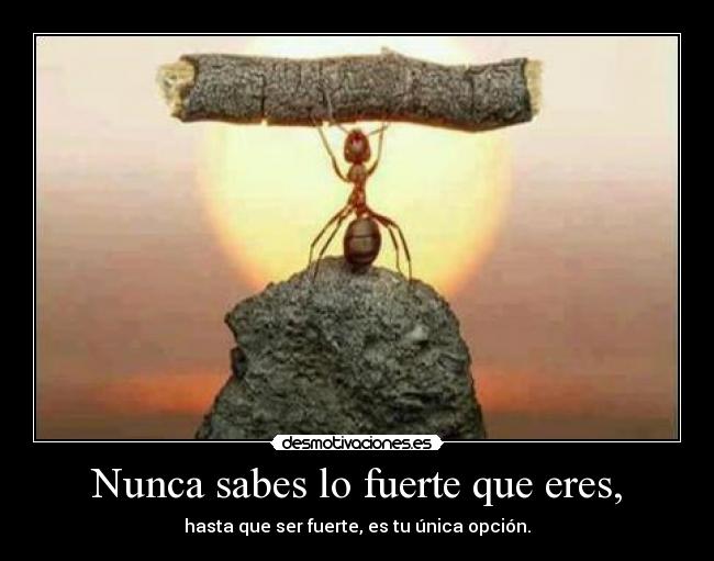 Nunca sabes lo fuerte que eres, - 