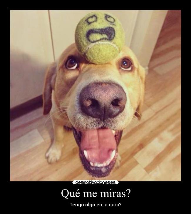 Qué me miras? - Tengo algo en la cara?