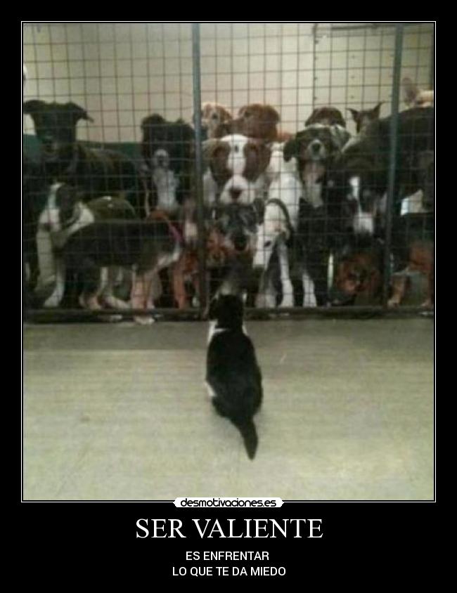 SER VALIENTE - ES ENFRENTAR
LO QUE TE DA MIEDO