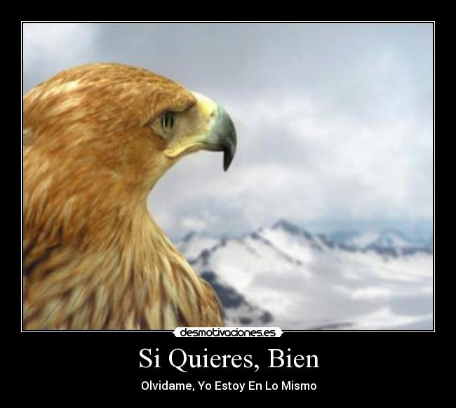 carteles olvidame estoy mismo desmotivaciones