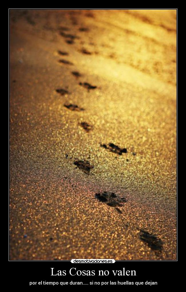 Las Cosas no valen - por el tiempo que duran..... si no por las huellas que dejan