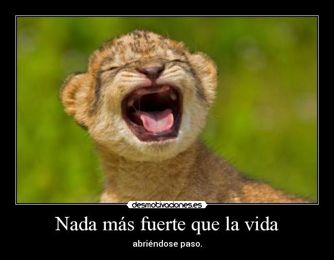 Nada más fuerte que la vida -