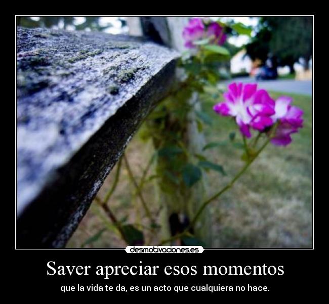 Saver apreciar esos momentos - que la vida te da, es un acto que cualquiera no hace.