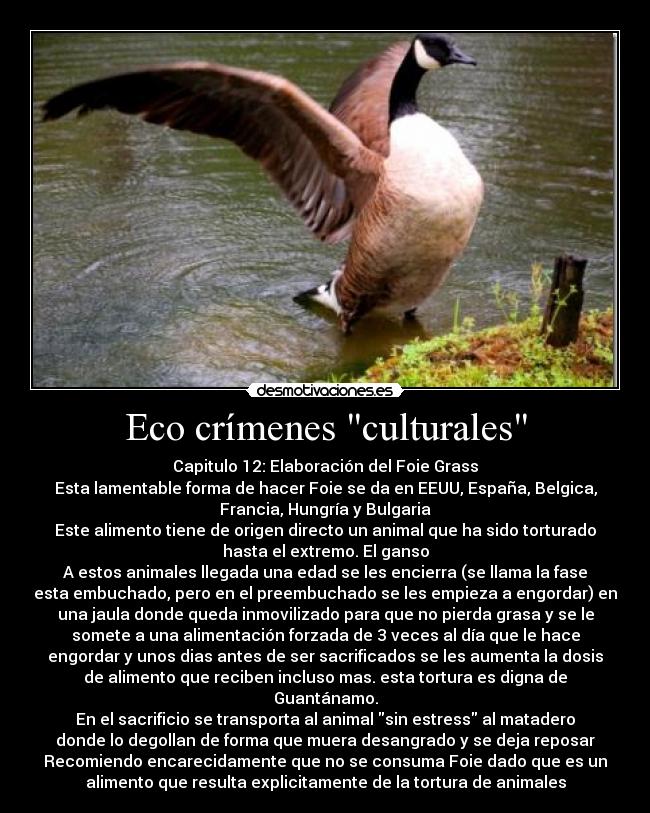 Eco crímenes culturales - 