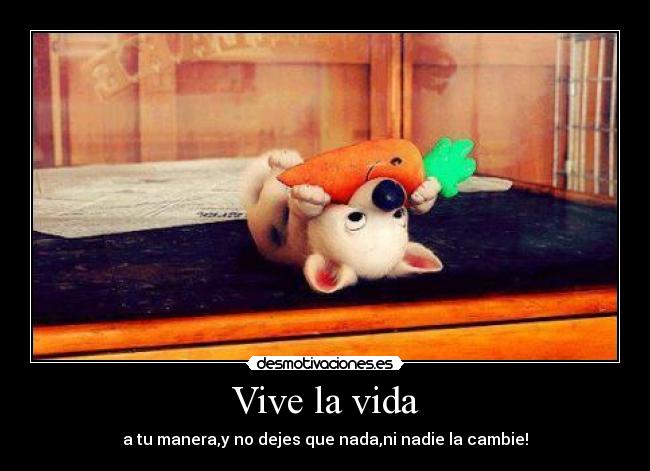 Vive la vida -