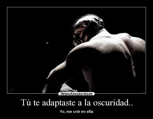 carteles bane batman oscuridad peliculon lucha caballero noche desmotivaciones