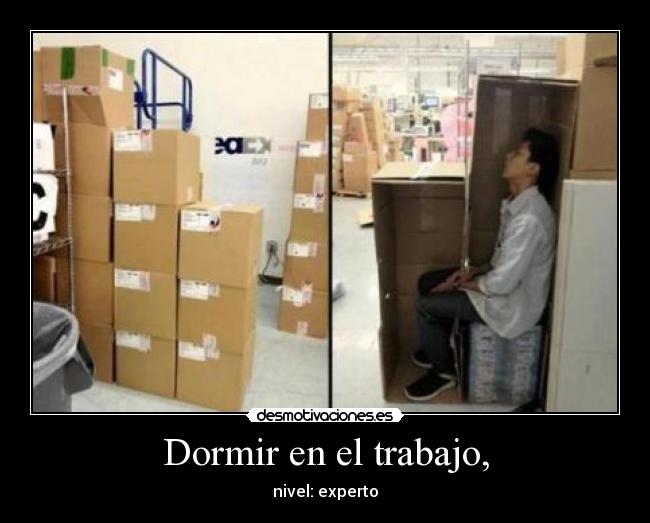 Dormir en el trabajo, - nivel: experto