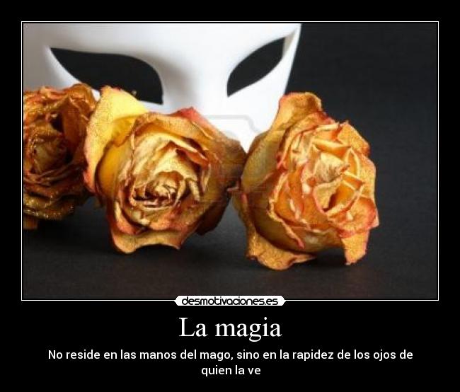 La magia - No reside en las manos del mago, sino en la rapidez de los ojos de quien la ve