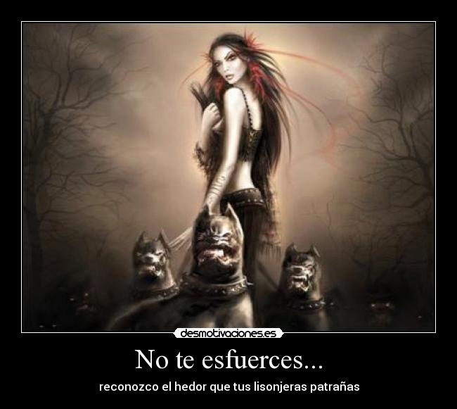 No te esfuerces... - 