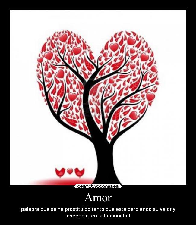 Amor -
