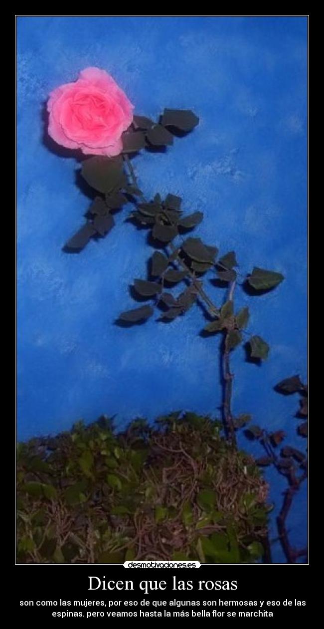 Dicen que las rosas - son como las mujeres, por eso de que algunas son hermosas y eso de las
espinas. pero veamos hasta la más bella flor se marchita