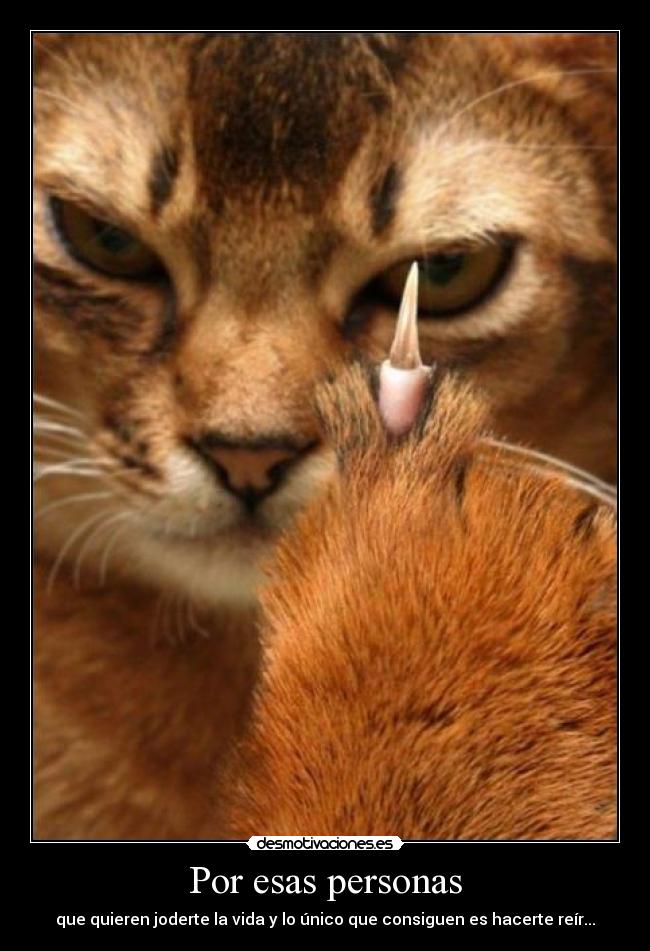 Por esas personas - que quieren joderte la vida y lo único que consiguen es hacerte reír...