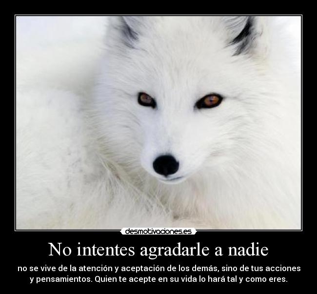 No intentes agradarle a nadie - 