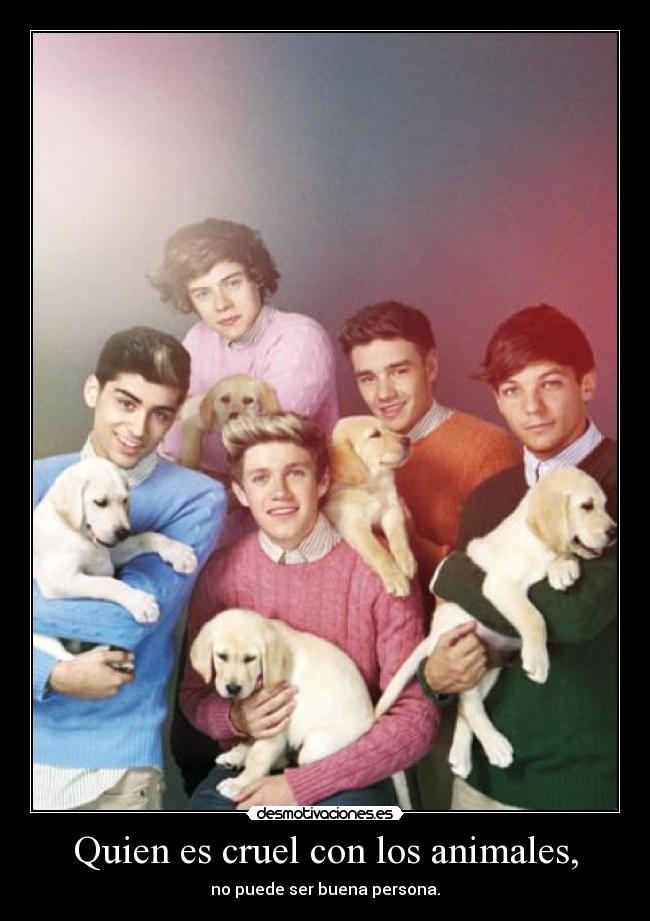 Quien es cruel con los animales, -