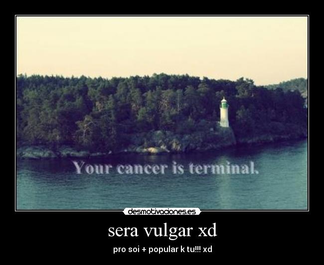 sera vulgar xd -