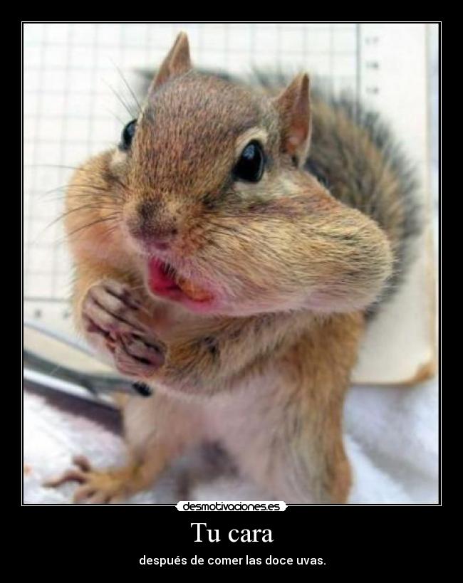Tu cara - después de comer las doce uvas.