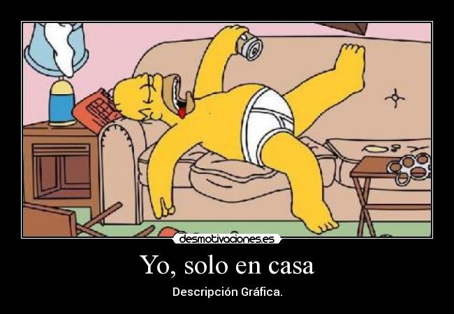Yo, solo en casa - Descripción Gráfica.
