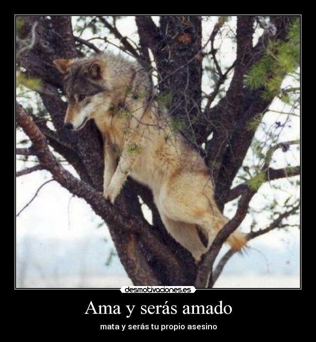 Ama y serás amado - 