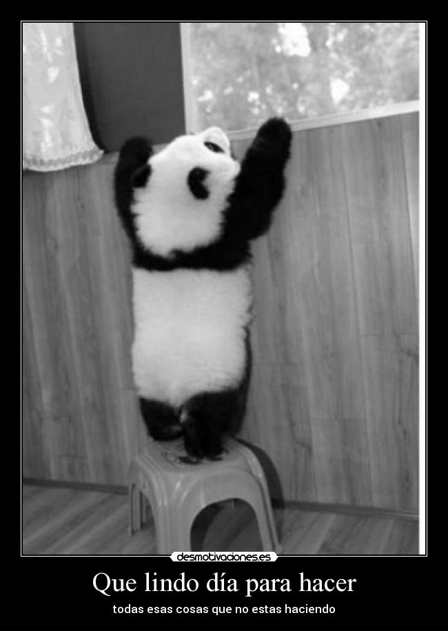 Que lindo día para hacer - todas esas cosas que no estas haciendo