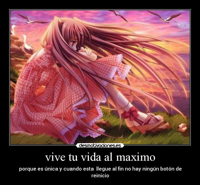 carteles vida vida maximo desmotivaciones