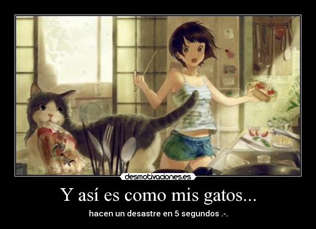 Y así es como mis gatos... - hacen un desastre en 5 segundos .-.