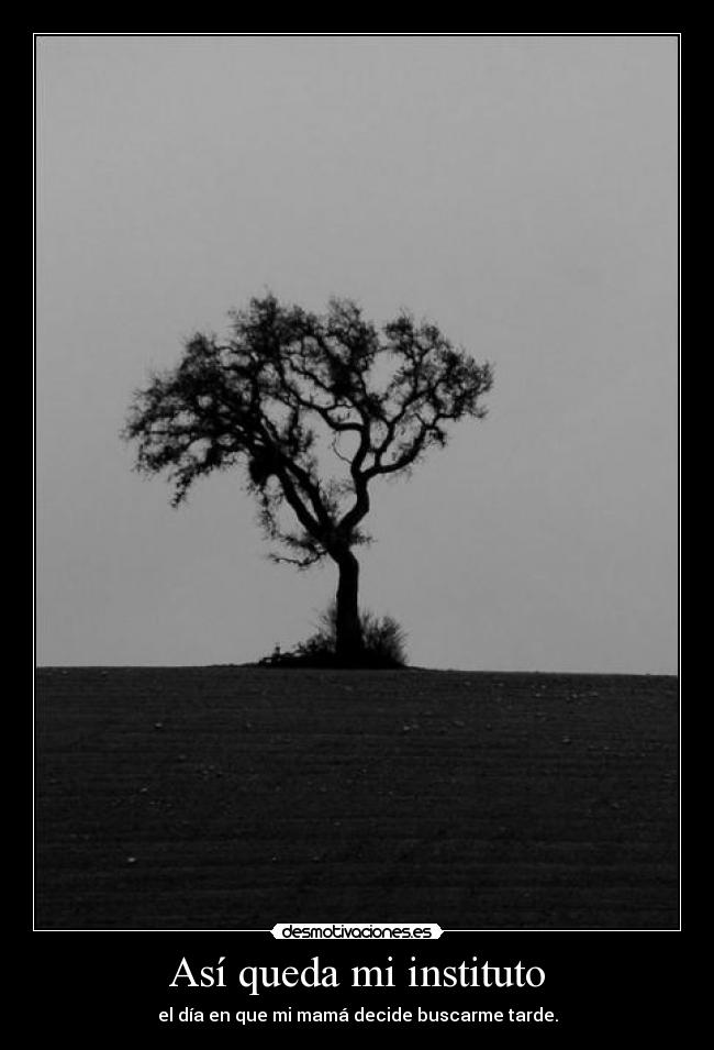 Así queda mi instituto -