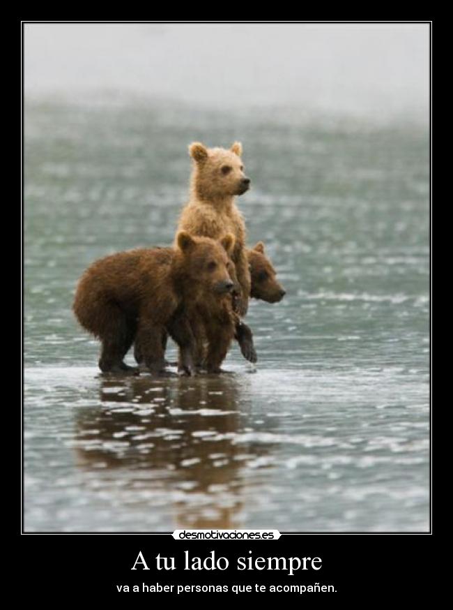 A tu lado siempre - va a haber personas que te acompañen.
