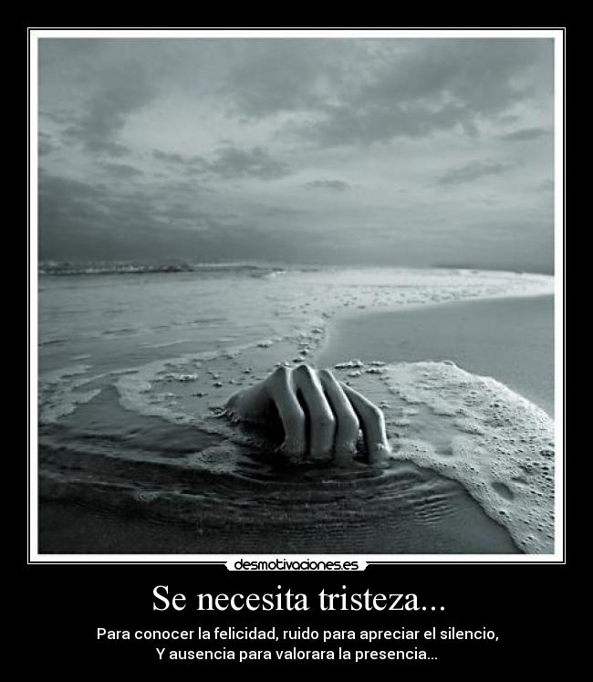 Se necesita tristeza... - Para conocer la felicidad, ruido para apreciar el silencio,
Y ausencia para valorara la presencia...
