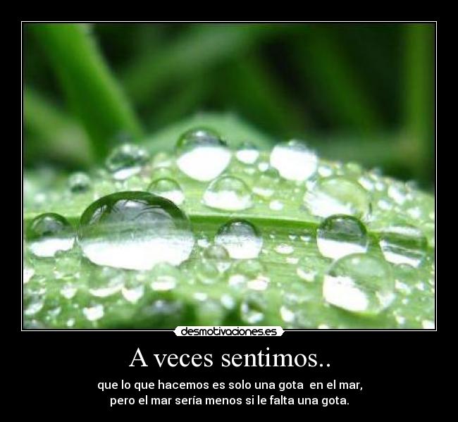 A veces sentimos.. -