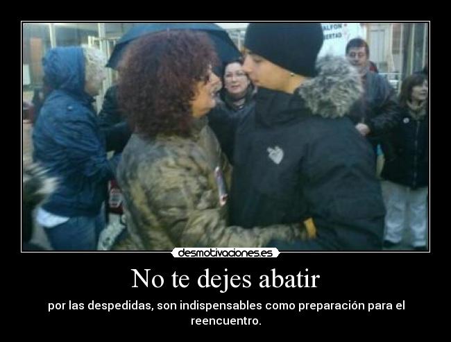 No te dejes abatir -