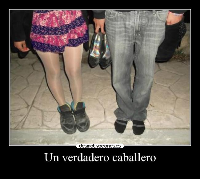 Un verdadero caballero -