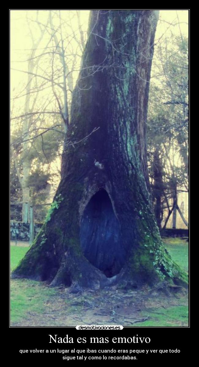 Nada es mas emotivo -